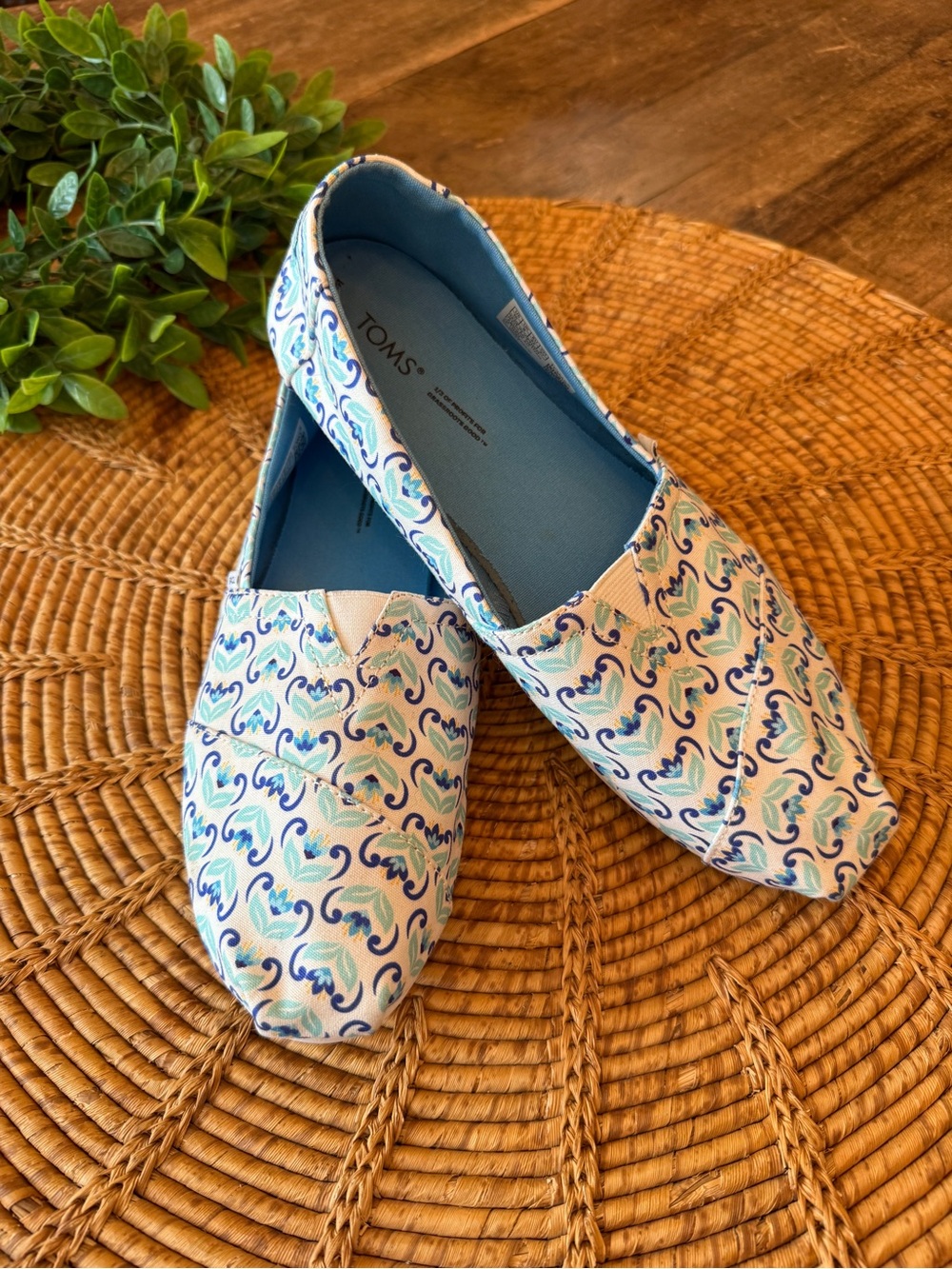 TOMS Women's Blue and White “Alpargata” Patterned Canvas Classic Slip-Ons